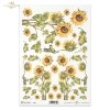 flower, flowers, leaf, leaves, flower petals, sunflower, sunflowers, R410